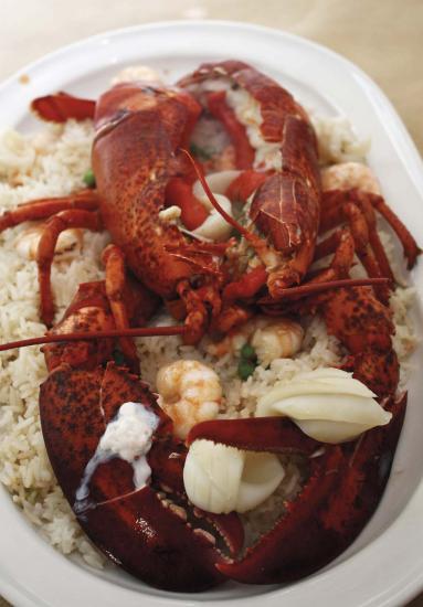 oriental bogavante_4145_web oriental bogavante_4145_web